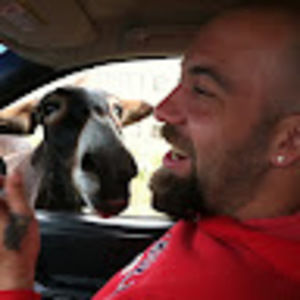 Meet your Posher, Richard